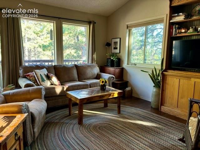 540 Greenway Court, Woodland Park, CO 80863