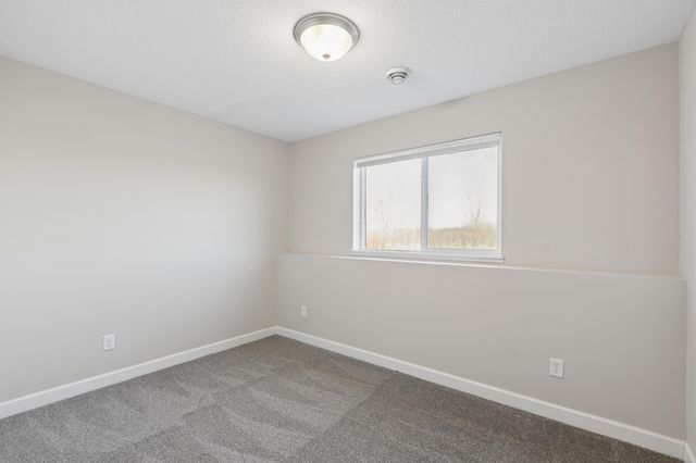 229 Terning Way, Howard Lake, MN 55349