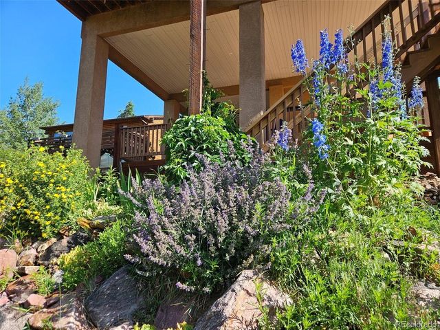 219 Dewell Rd, Woodland Park, CO 80863