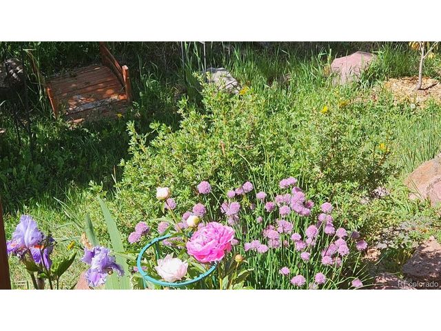 219 Dewell Rd, Woodland Park, CO 80863