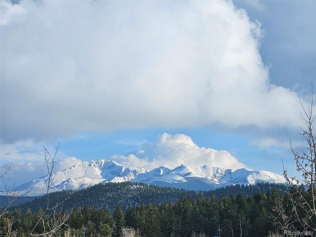 219 Dewell Rd, Woodland Park, CO 80863