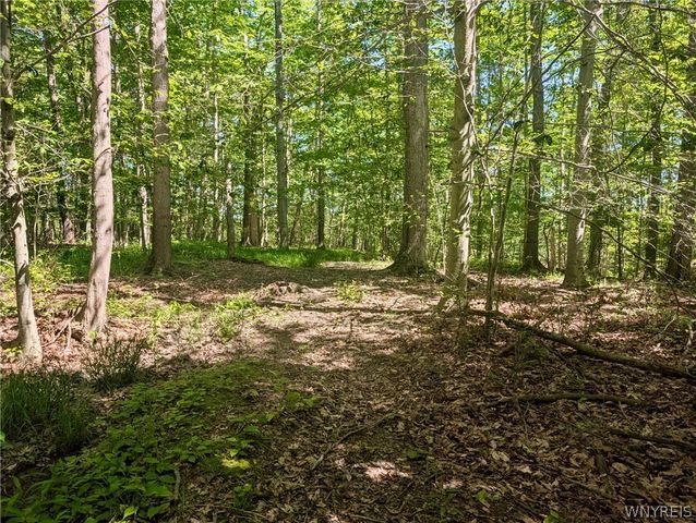 1311 Bullis Road, Elma, NY 14059
