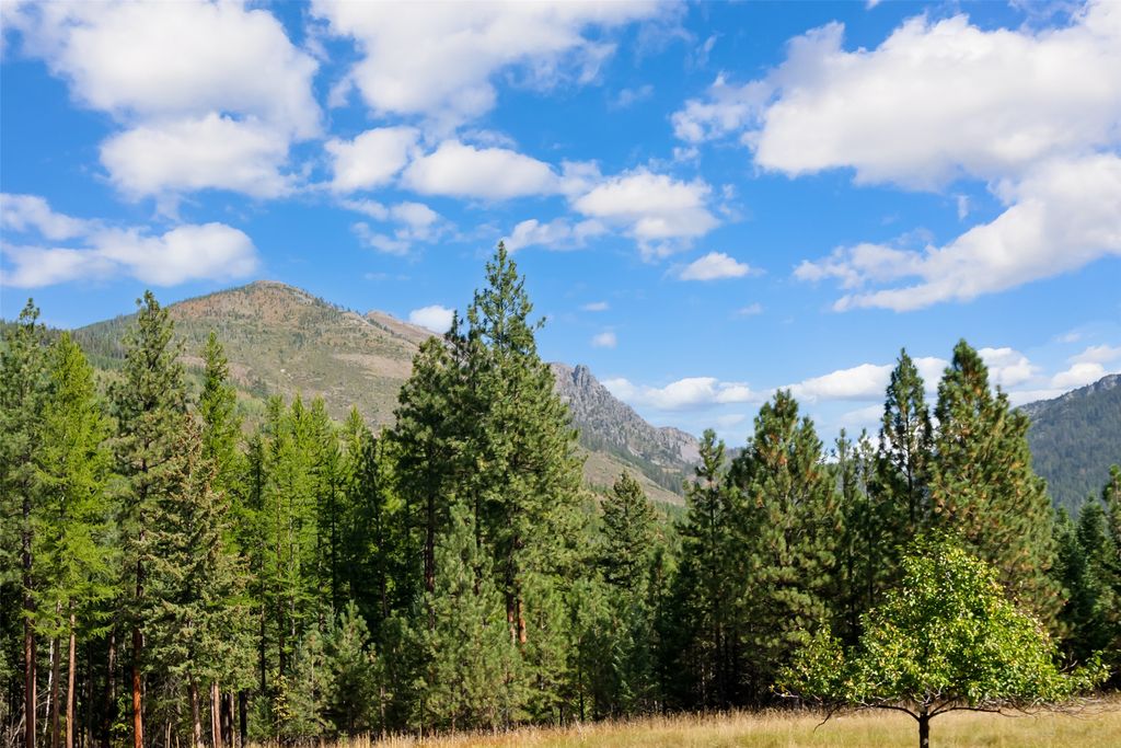 12697 Red Owl Trail N, Bigfork, MT 59911 photo 40