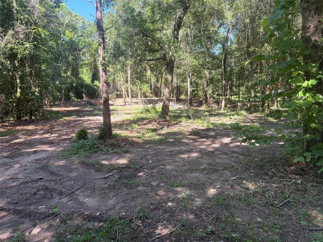 25111 N Clear Creek Road, Hockley, TX 77447
