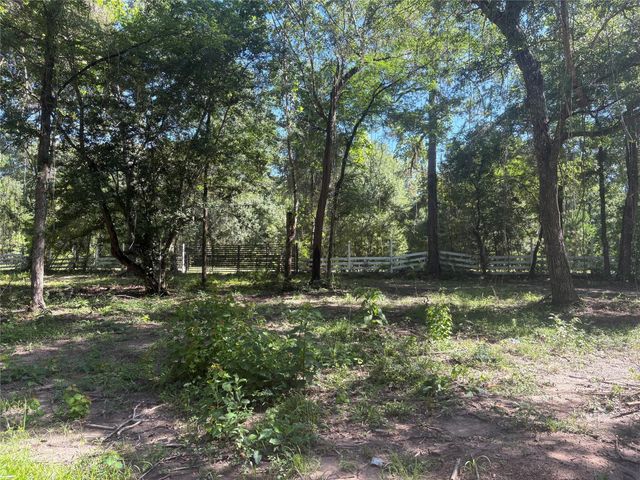 25111 N Clear Creek Road, Hockley, TX 77447