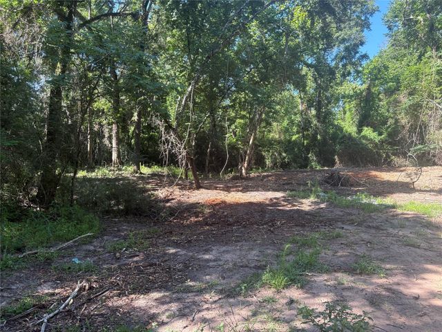 25111 N Clear Creek Road, Hockley, TX 77447