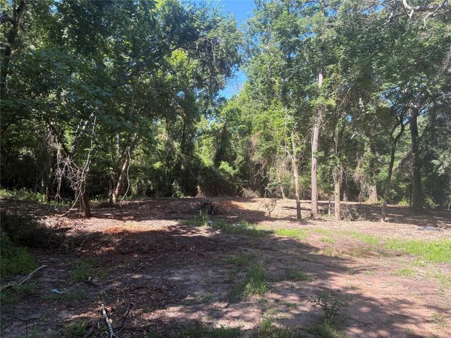 25111 N Clear Creek Road, Hockley, TX 77447