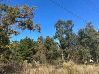 4290 CANDLER AVENUE, Spring Hill, FL 34609