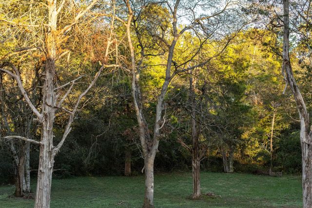 709 Tahlena Ave, Madison, TN 37115