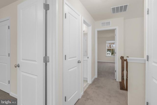 319 APPLEBY SCHOOL RD, Cambridge, MD 21613