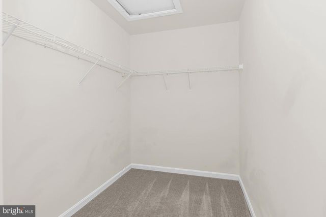 319 APPLEBY SCHOOL RD, Cambridge, MD 21613