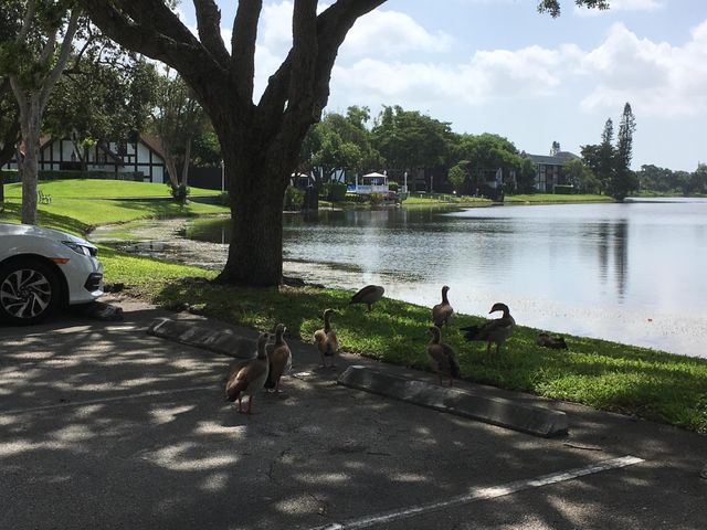 3720 Inverrary Drive 3y, Lauderhill, FL 33319