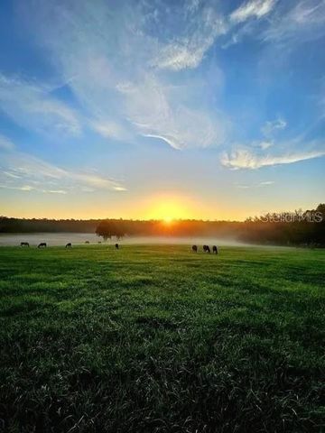 TBD HWY 329, Reddick, FL 32686