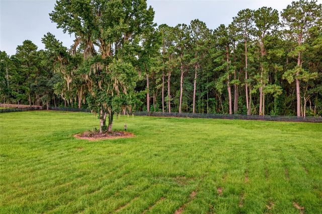 TBD HWY 329, Reddick, FL 32686