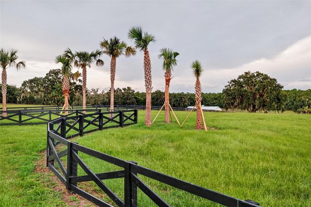 TBD HWY 329, Reddick, FL 32686