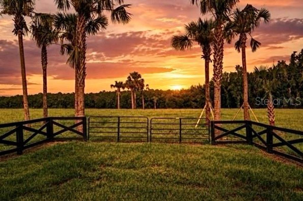 TBD HWY 329, Reddick, FL 32686