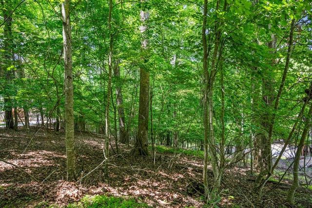 Lot 25 Talon Trace, Blairsville, GA 30512