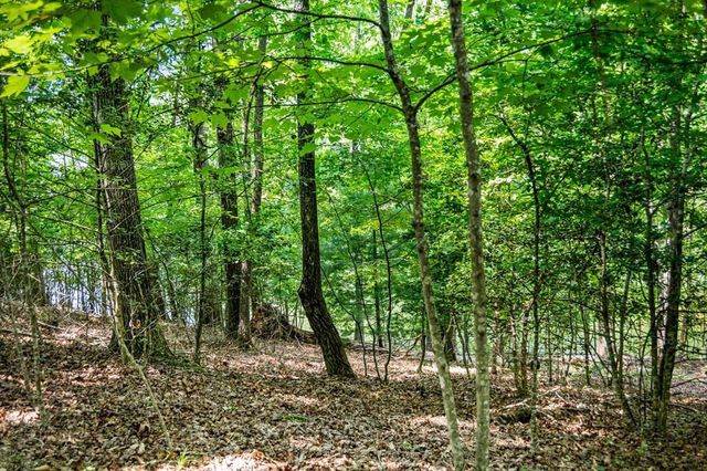 Lot 25 Talon Trace, Blairsville, GA 30512