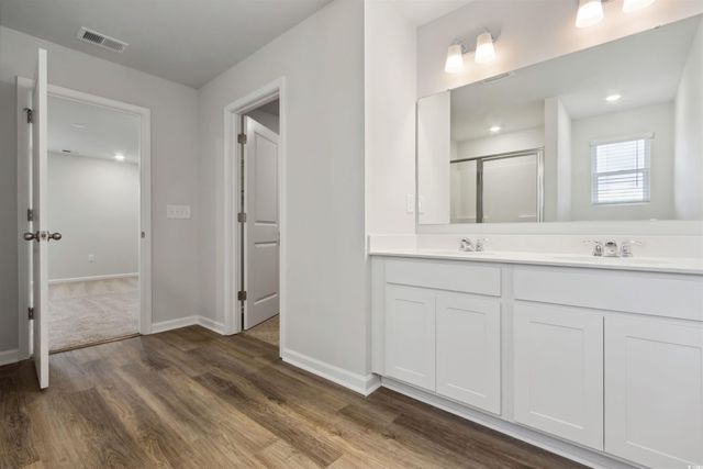 809 Rivas Way, Conway, SC 29527