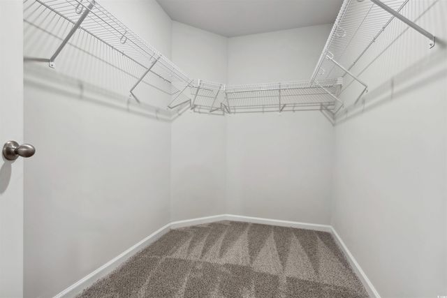 809 Rivas Way, Conway, SC 29527