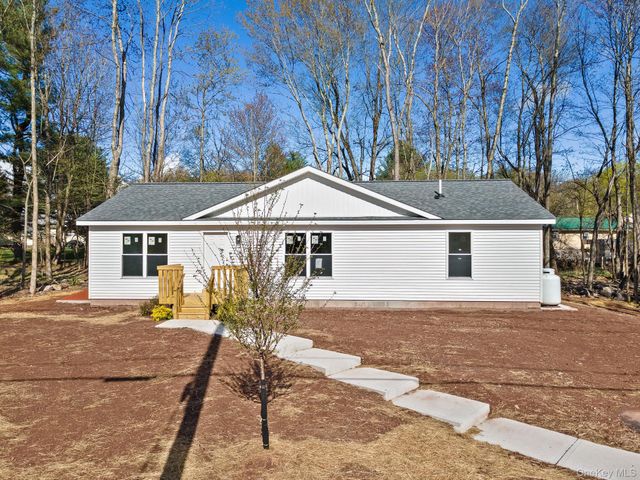 165 Park Avenue, Monticello, NY 12701