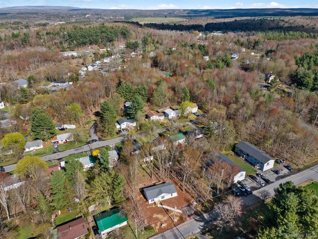 165 Park Avenue, Monticello, NY 12701