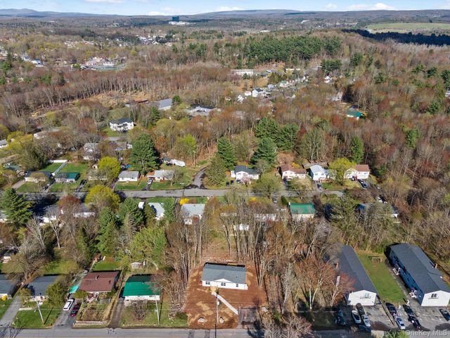 165 Park Avenue, Monticello, NY 12701