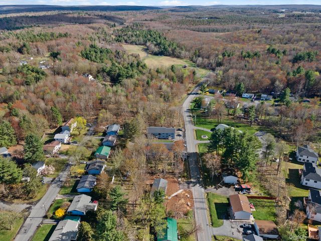 165 Park Avenue, Monticello, NY 12701