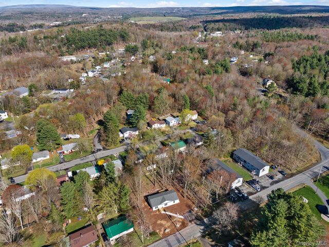 165 Park Avenue, Monticello, NY 12701