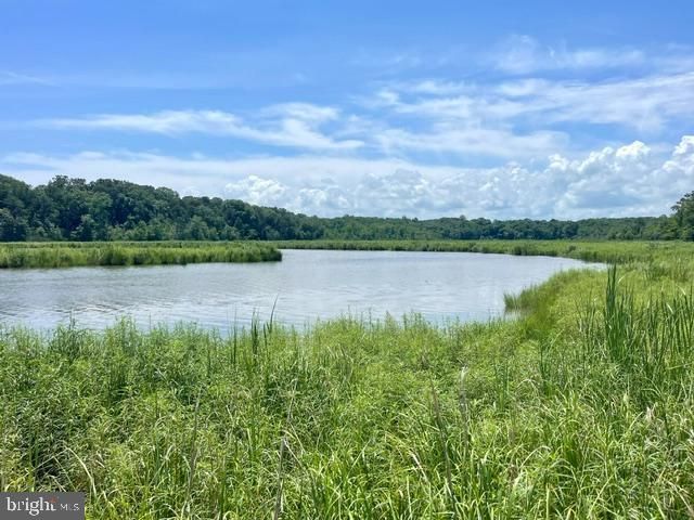 18002 ROSIERS CREEK LN, King George, VA 22485