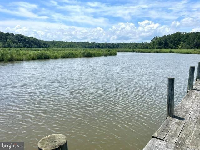 18002 ROSIERS CREEK LN, King George, VA 22485
