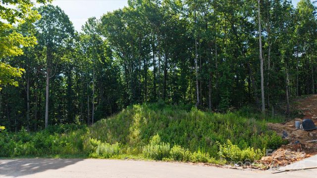 0 Honey Tree Lane, Kannapolis, NC 28027