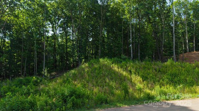 0 Honey Tree Lane, Kannapolis, NC 28027