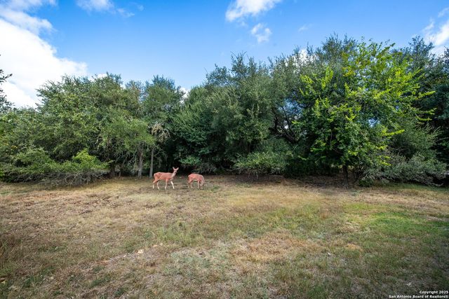 331 Mill Run, New Braunfels, TX 78132
