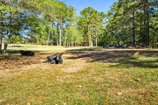 1189 Paul Harris Road, Dallas, GA 30157