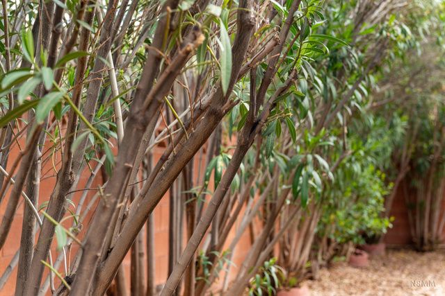 53 E CYNDI LN, La Verkin, UT 84745