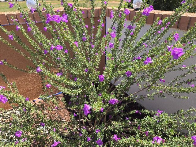 229 N Tracy Road, Pearce, AZ 85625