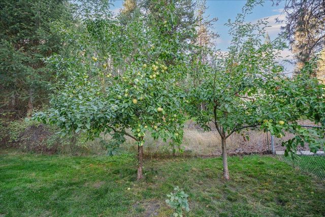 14905 W Maybob Rd, Nine Mile Falls, WA 99026