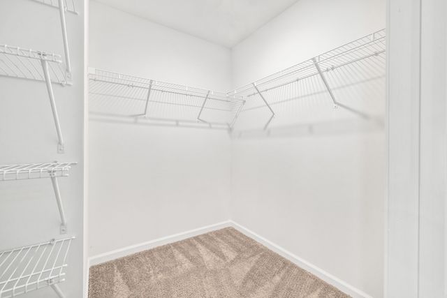 339 Woodcross Court, Conway, SC 29526