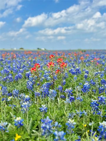 LOT 5 Fm-879, Ennis, TX 75152