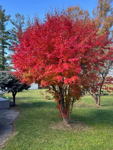 502 Dean Drive, Owosso, MI 48867