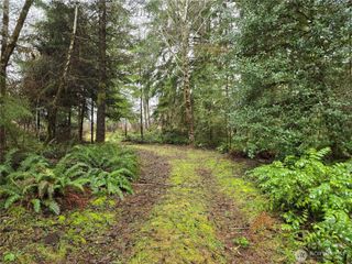 261 W Elk Hill Road, Elma, WA 98541