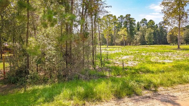 TBD 66 Thousand Oaks, Livingston, TX 77351