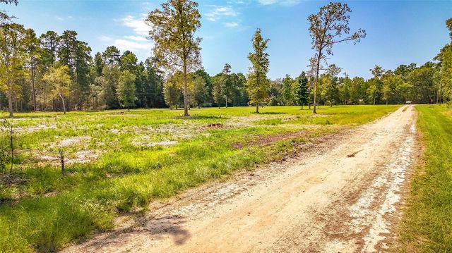 TBD 66 Thousand Oaks, Livingston, TX 77351