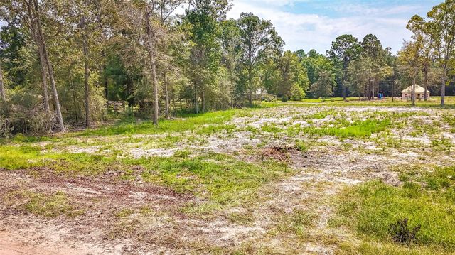 TBD 66 Thousand Oaks, Livingston, TX 77351