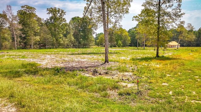 TBD 66 Thousand Oaks, Livingston, TX 77351