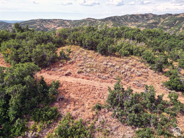 1948 MOOSE HOLW, Coalville, UT 84017