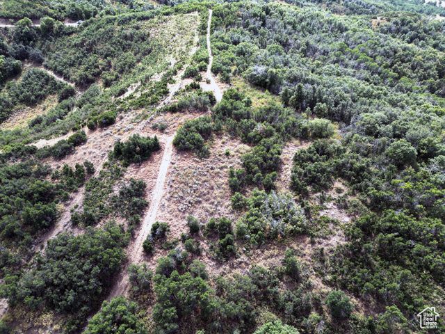 1948 MOOSE HOLW, Coalville, UT 84017