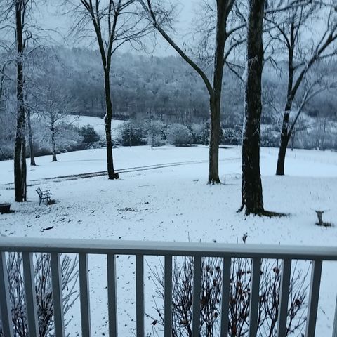 2865 Spring Place Rd, Belfast, TN 37019