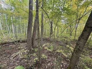 TBD 282nd Avenue, Holcombe, WI 54745